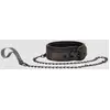 Image de Collier et Laisse Elegant