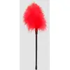 Image de Plumeau Plume