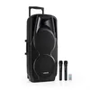 Image de Vonyx SPX-PA9210 Sono portable 2x10''USB SD/MMC Bluetooth batterie 2 micros