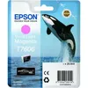 Image de Epson T7606 (C13T76064010) Cartouche d'encre magenta clair vif
