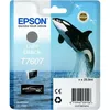 Image de Epson T7607 (C13T76074010) Cartouche d'encre Noir clair