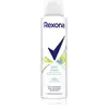 Image de Spray anti-transpirant Coquelicot Bleu & Pomme 150 ml