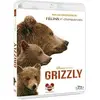 Image de Grizzly