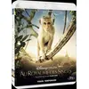 Image de Au Royaume des Singes