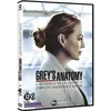 Image de Grey's Anatomy (À Coeur Ouvert) - Saison 17