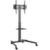 Image de Flat Screen Trolley 7