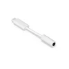 Image de Sonos Line-In Blanc - Adaptateur USB-C vers Mini-jack 3,5 mm