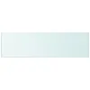 Image de vidaXL Panneau pour Ã©tagÃ¨re Verre transparent 50 x 12 cm