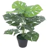 Image de Plante artificielle Monstera verte de 45 cm avec pot, dÃ©coration d'intÃ©rieur rÃ©aliste