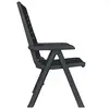 Image de Chaises VidaXL  Chaises inclinables de jardin  lot de 2 Plastique gris P31600532