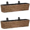Image de Vidaxl JardiniÃ¨res 2 Pcs Jacinthe D'eau