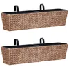 Image de JardiniÃ¨res 2 Pcs Jacinthe D'eau Marron