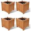 Image de Vidaxl Lits SurÃ©levÃ©s 4 Pcs 30 X 30 X 30 Cm