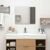 Image de Vidaxl Miroir Mural 60x40 Cm Verre