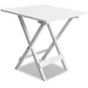Image de Table Basse D'extÃ©rieur Bois D'acacia Blanc