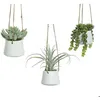 Image de Plante d'intÃ©rieur succulent artificielle Ã  accrocher BigBuy Home