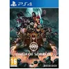 Image de Omen of sorrow PS4
