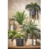Image de Palmier cycas plante artificielle en pot H33