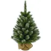Image de Triumph Tree Pittsburgh Sapin de NoÃ«l Artificiel avec toile de jute - H90 x Ã56 cm - Vert givrÃ©