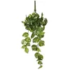 Image de Plante Artificielle - MICA DECORATIONS - Pothos - 58 cm - Suspendue - Entretien facile