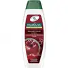 Image de Palmolive Shampoing Couleur Brillante à la Grenade pour Cheveux Colorés 350 ml