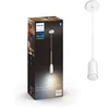 Image de Philips Hue White Ambiance Devote Suspension Ext.