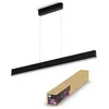 Image de Suspension Philips Hue W&ca Ensis Noir 2x39w 24v
