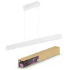 Image de Philips Hue - Ensis Hue Pendant 2x39w 24v