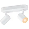 Image de Wiz 2 Spots Orientables Imageo