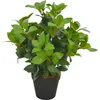 Image de vidaXL Plante artificielle avec pot Laurier Vert 40 cm