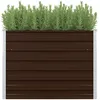 Image de JardiniÃ¨re SurÃ©levÃ©e Marron 100x100x77 Cm Acier GalvanisÃ©