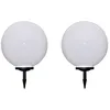 Image de Vidaxl 2 Pcs Lampes D'allÃ©e D'extÃ©rieur Ã Led 50 Cm Et Piquet Au Sol