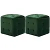 Image de Poufs VidaXL  Poufs  Lot de 2 Vert 30 x 30 x 30 cm Tissu velours P31600405