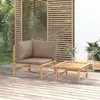 Image de Vidaxl Lit SurÃ©levÃ© Ã Gabion Acier GalvanisÃ© 360x30x60 Cm