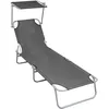 Image de Vidaxl Chaise Longue Pliable Avec Auvent Gris Aluminium