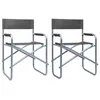 Image de Vidaxl Chaises De Metteur En ScÃ¨ne 2 Pcs Acier Gris