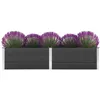 Image de Vidaxl Lit SurÃ©levÃ© De Jardin 250x50x54 Cm Wpc Gris