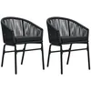 Image de Vidaxl Chaises De Jardin Lot De 2 Noir Rotin Pe