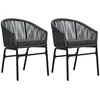 Image de Vidaxl Chaises De Jardin Lot De 2 Anthracite Rotin Pe