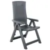 Image de Chaises d'extérieur VidaXL  Chaises inclinables de jardin  Lot de 2 Plastique Gris P31600210