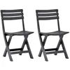 Image de Vidaxl 2x Chaises De Jardin Pliables Chaises De Terrasse Chaises De Patio Chaises D'extÃ©rieur Chaises De Balcon SiÃ¨ge De Jardin Plastique Anthracite