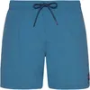 Image de Maillots de bain Protest  M FASTER beachshort P25844258