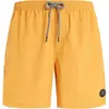 Image de Maillots de bain Protest  FASTER beachshort P25844159