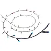 Image de Wiz Fairy Light 20 M
