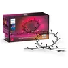 Image de Guirlande Lumineuse Philips Hue Festavia White Et Color Ambiance 250 Led Noir