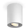 Image de Spot Unique Philips Hue Pillar Blanc
