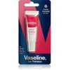 Image de Vaseline Baume à lèvres Therapy Rosy 10 g