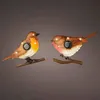 Image de DÃ©coration de jardin - LUMINEO - OISEAU SOLAIRE 894881 - Multicolore - 30 cm - Ãnergie solaire