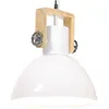 Image de Vidaxl Lampe Suspendue Industrielle 25 W Blanc Rond 30 Cm E27