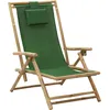Image de vidaXL Chaise de relaxation inclinable Vert Bambou et tissu